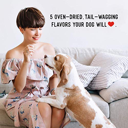 Farmland Traditions Filler Free Dogs Love Chicken Premium Jerky Treats for Dogs, 2 lbs.