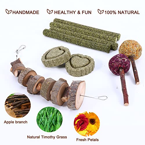 Rabbit Chew Toys 16PCS Bunny Toys for Rabbits Guinea Pig Toys Natural Timothy Hay Sticks Chinchilla Toys for Teeth Handmade Bunny Treats Gift Apple Wood Sticks Hamster Rat Gerbil Teeth Care