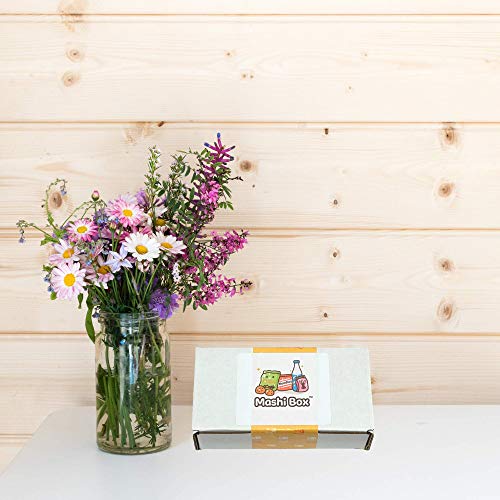 Mashi Box Asian Mystery Mini Snack Box - 18 Items - Includes 1 Full Sized Item with Asian Snack Variety from Japan, Korea, China, Vietnam, Indonesia, etc