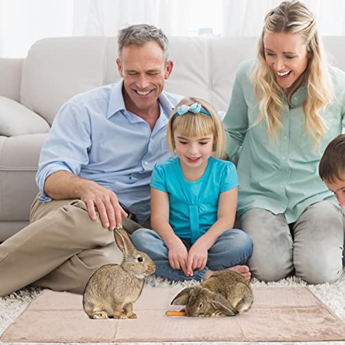 Bigmeta Large Foldable Rabbit House Bed- 21.6" × 13”× 9" Warm Bunny Bed of Stable Structure Rabbit Hideout with Zipper Triangle Tent Bed for Kitten Guinea Pig Chinchilla Hamster or Other Small Animal