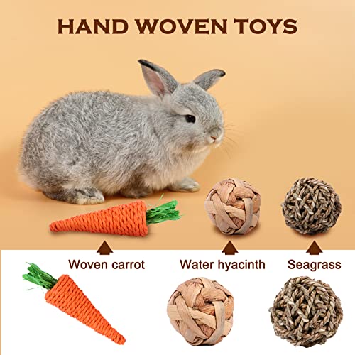Rabbit Chew Toys 16PCS Bunny Toys for Rabbits Guinea Pig Toys Natural Timothy Hay Sticks Chinchilla Toys for Teeth Handmade Bunny Treats Gift Apple Wood Sticks Hamster Rat Gerbil Teeth Care