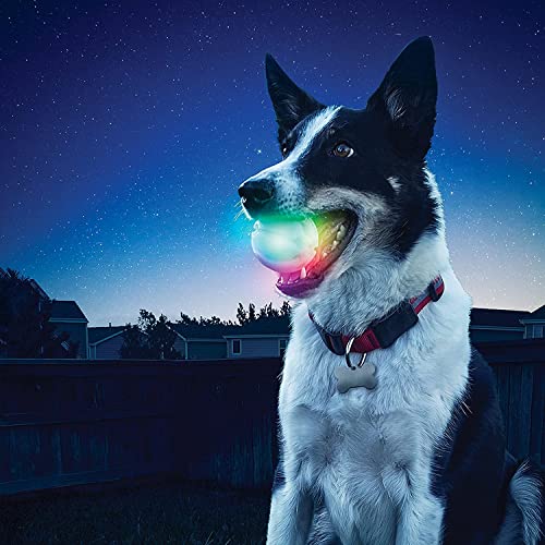 Nite Ize GlowStreak LED Dog Ball, Bounce-Activated Light Up Dog Ball, Replaceable Batteries, Disc-O Color Changing LED