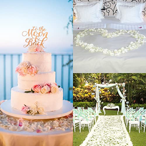 5000 Pcs Rose Petals Artificial Flower Petals for Valentine's Day Romantic Night Decor White Rose Petals for Wedding Event Anniversary Shower Engagement Party Decorations (Ivory)