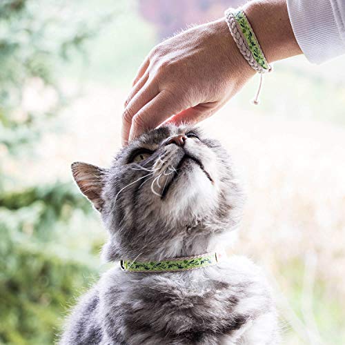 Pettsie Cat Collar Breakaway & Matching Friendship Bracelet, Eco-Friendly Gift Box, D-Ring for Accessories, 100% Cotton for Extra Safety & Comfort, Easy Adjustable