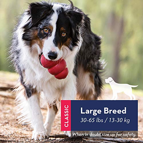 KONG - Classic Dog Toy, Durable Natural Rubber- Fun to Chew, Chase and Fetch - for Large Dogs