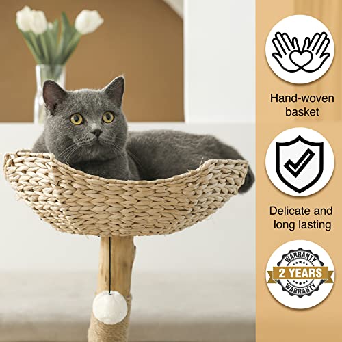KONELCARE Modern Luxury Cat Tree for Indoor Small Cats - Real Wood Cat Tower with Scratch Post, Hanging Toy - Tree Branch Cat Condo - Cat Climbing Furniture with Cat Hiding Enclosure