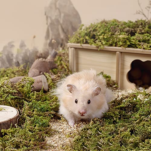 DR.DUDU 5L Forest Moss for Hamster Bedding Nesting, Syrian Gerbils Hamster Cages Accessories, Perfect for Small Animals Terrarium Moss