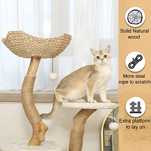 KONELCARE Modern Luxury Cat Tree for Indoor Small Cats - Real Wood Cat Tower with Scratch Post, Hanging Toy - Tree Branch Cat Condo - Cat Climbing Furniture with Cat Hiding Enclosure