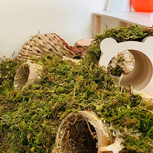 DR.DUDU 5L Forest Moss for Hamster Bedding Nesting, Syrian Gerbils Hamster Cages Accessories, Perfect for Small Animals Terrarium Moss
