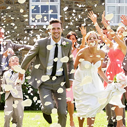 5000 Pcs Rose Petals Artificial Flower Petals for Valentine's Day Romantic Night Decor White Rose Petals for Wedding Event Anniversary Shower Engagement Party Decorations (Ivory)