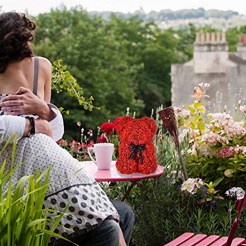 Valentines Day Gifts For Her Valentines Day Gifts Rose Bear Rose Teddy Bear Mothers Day Mom Gifts For Women Gifts For Birthday Girlfriend Gifts Mothers Day For Anniversary Christmas Unique Gifts (Red)