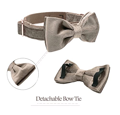 ARING PET Bowtie Dog Collar,Velvet Dog Collars with Detachable Bowtie, Adjustable Bow Tie Collar for Girl and Boy Dogs.