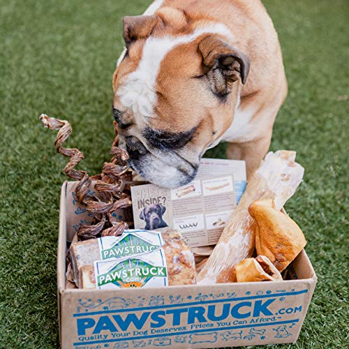 Pawstruck Natural Dog Chew Box: Medium Dogs (20-50 LBS)