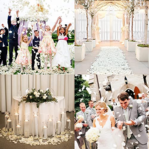 5000 Pcs Rose Petals Artificial Flower Petals for Valentine's Day Romantic Night Decor White Rose Petals for Wedding Event Anniversary Shower Engagement Party Decorations (Ivory)