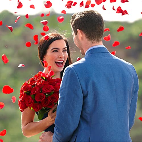 5000 Pcs Artificial Rose Petals Flowers Petals for Valentine's Day Romantic Night Decor Rose Petals for Wedding Baby Shower Engagement Birthday Party Decorations (Red)