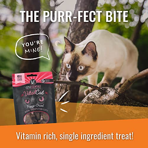 Vital Essentials Freeze Dried Cat Treats, Rabbit Bites 0.9 oz