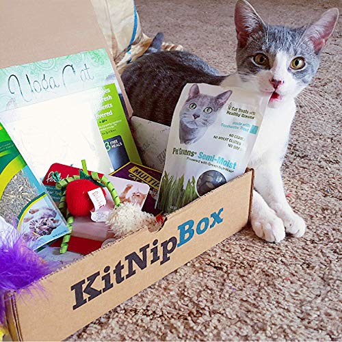 KitNipBox | Happy Cat Box | Monthly Cat Subscription Boxes Filled with Cat Toys, Kitten Toys, North American Grown Catnip Toys, and Cat Treats