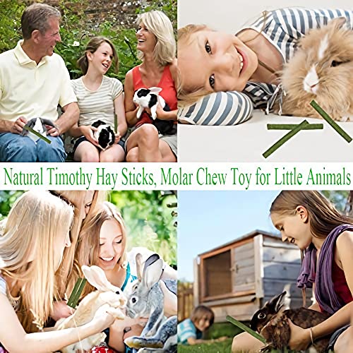 LSSH GmbH 20PCS Natural Timothy Hay Sticks, Timothy Grass Molar Stick Chew Toys for Rabbits, Chinchillas, Guinea Pigs, Hamsters and Other Small Animals Treats.